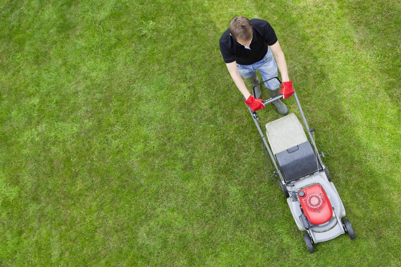 overhead shot of a man mowing his pawn