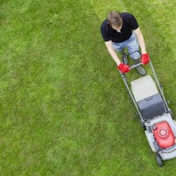 overhead shot of a man mowing his lawn